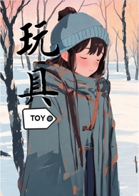 玩具寿命