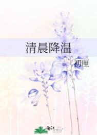清晨降温第15章