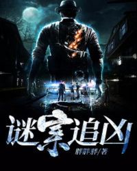 谜案追凶结局解析